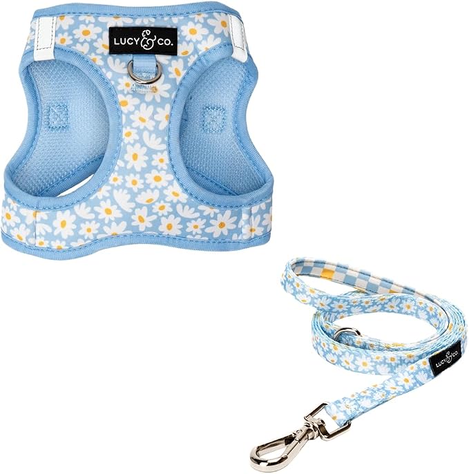 Lucy & Co. Simply Splendid Step-in Cat Harness & Leash Bundle – Reflective by LucyCo