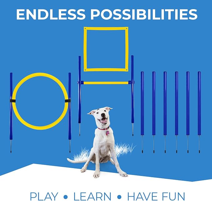 Dog Agility Training Equipment, Dog Obstacle Course, Exercise Fun - Image 5