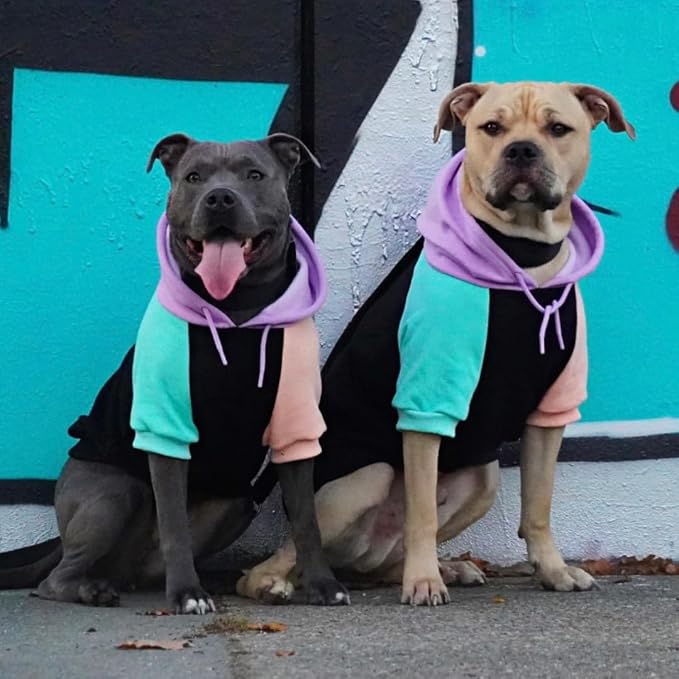 Spark Paws Dog Hoodie – Premium Dog Sweater - Image 3