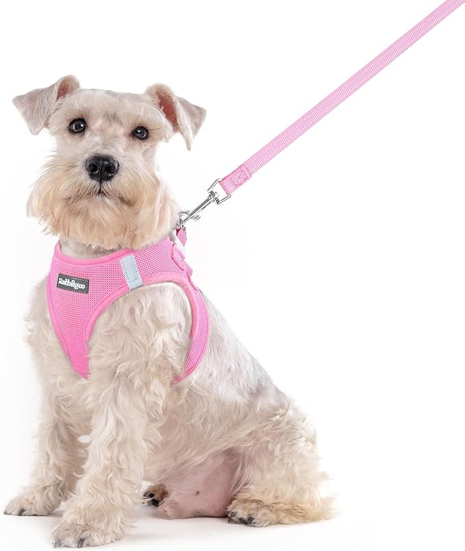 rabbitgoo Dog Harness Medium Sized and Leash Set, Step in Soft Light Puppy Vest by rabbitgoo