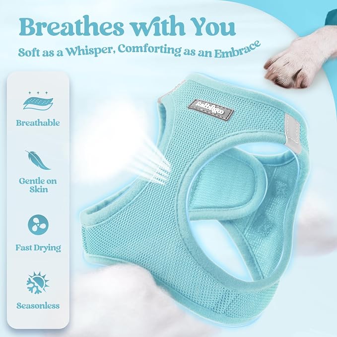 rabbitgoo Dog Harness Small Sized and Leash Set, Step in Soft Light Puppy Vest - Image 3