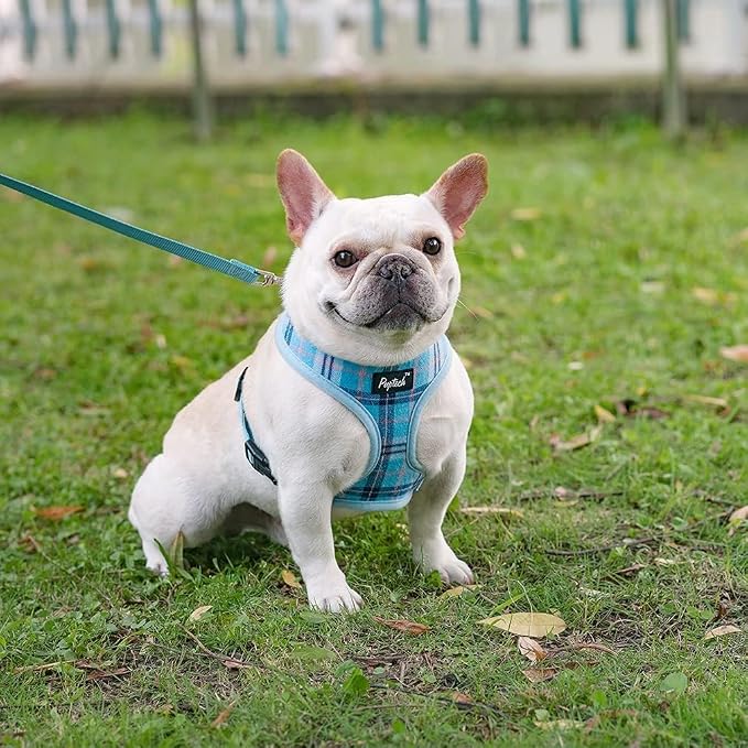 PUPTECK Soft Mesh Dog Harness and Leash Set Pet Puppy Cat Comfort Padded Vest - Image 6