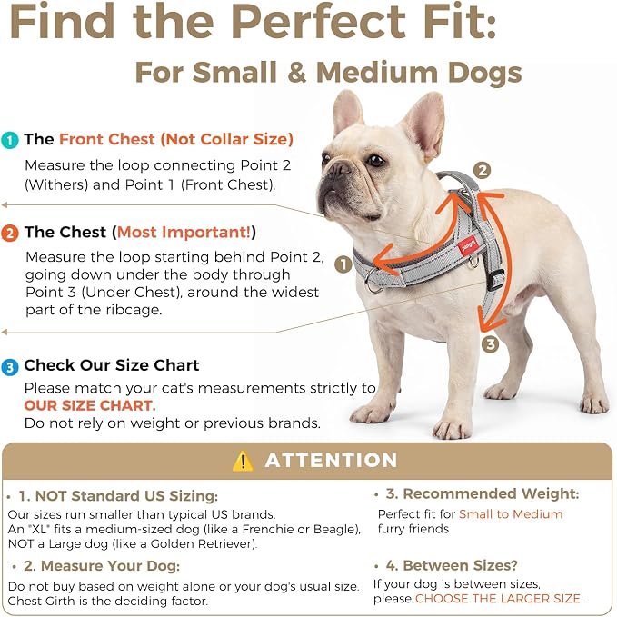 No Pull Dog Harness with Handle, Yorkie Adjustable Reflective Dog Vest - Image 2