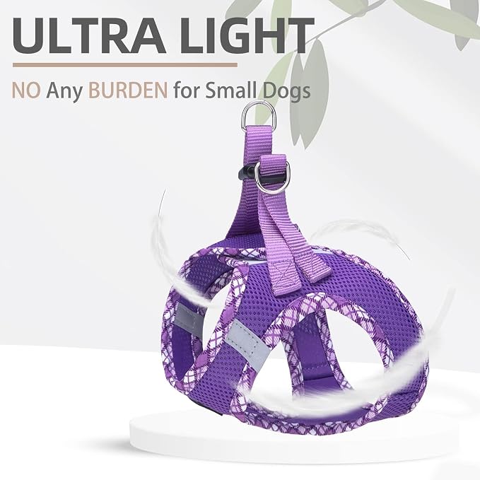 PUPTECK Dog Harness and Leash Set - Image 3