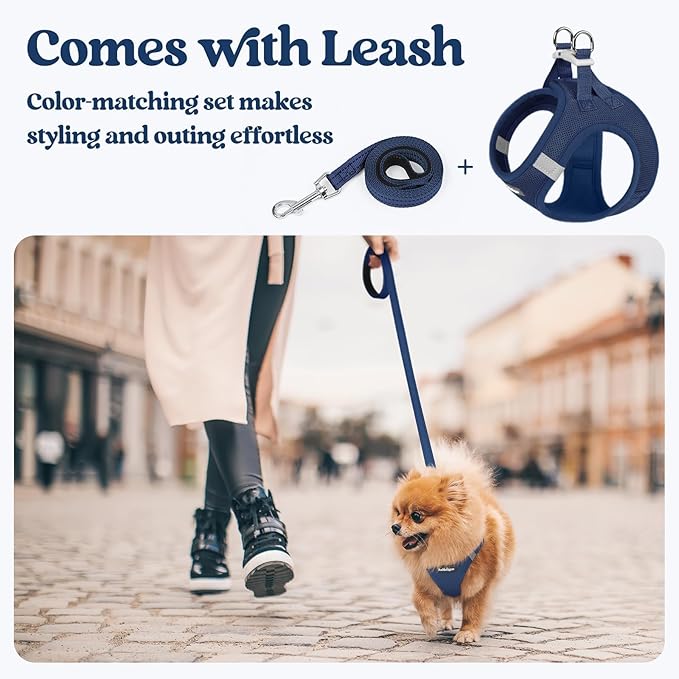 rabbitgoo Dog Harness Small Sized and Leash Set, Step in Soft Light Puppy Vest - Image 6