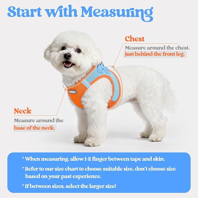 rabbitgoo Dog Harness Small Sized and Leash Set, Step in Soft Light Puppy Vest - Image 2