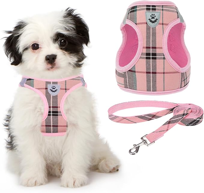 KOOLTAIL Dog Harness for Small Medium Dogs, Dog Harness and Leash Set, Step in by KOOLTAIL