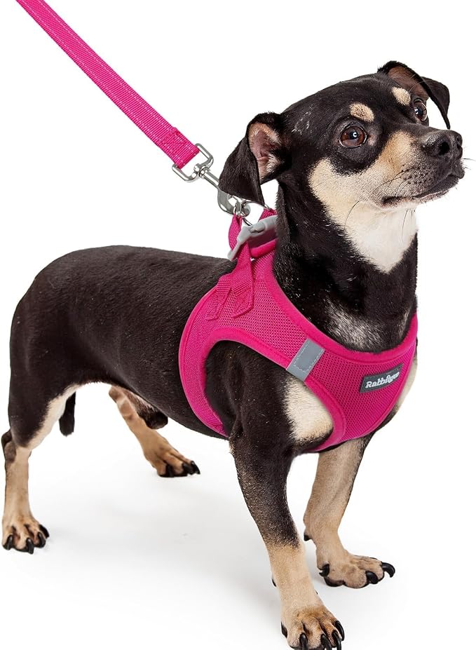 rabbitgoo Dog Harness Small Sized and Leash Set, Step in Soft Light Puppy Vest by rabbitgoo