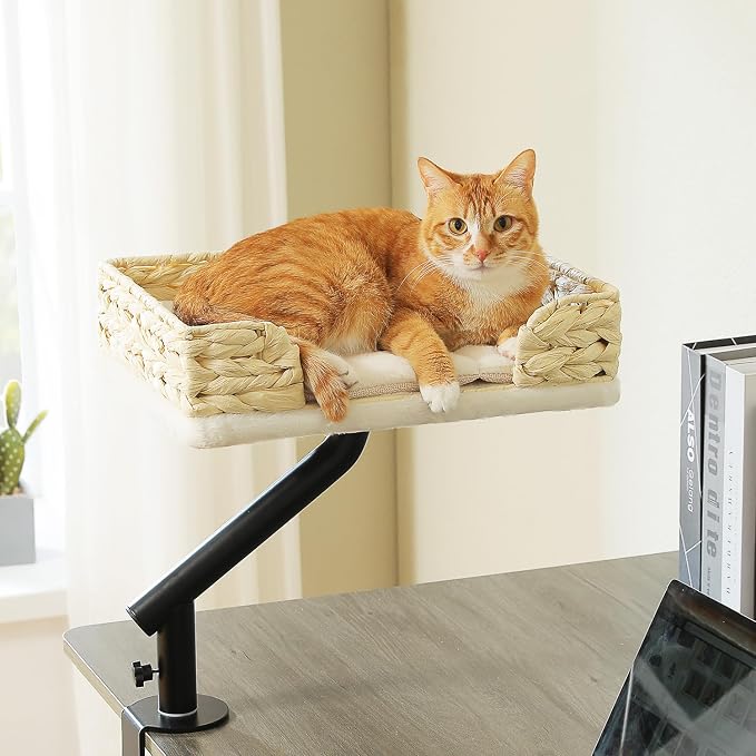 PAWZ Road Cat Desk Bed for Indoor Cats, Wicker Cat Bed for Desk Supports Up to by PAWZRoad