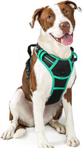 rabbitgoo Dog Harness No Pull by rabbitgoo