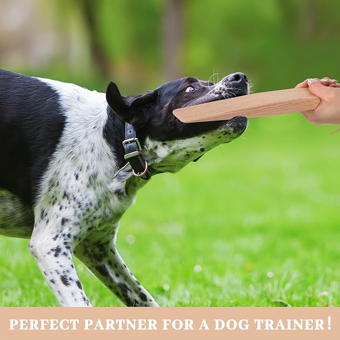 Barydat 4 Pcs Break Stick Dog Fight 10.04'' x 1.77'' x 0.79'' Dog Stick Toy - Image 6