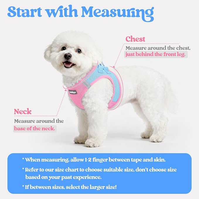 rabbitgoo Dog Harness Medium Sized and Leash Set, Step in Soft Light Puppy Vest - Image 2