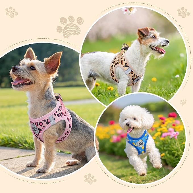 BEAUTYZOO Step in Dog Harness and Leash Set, Reflective Dog Harness No Pull No - Image 7