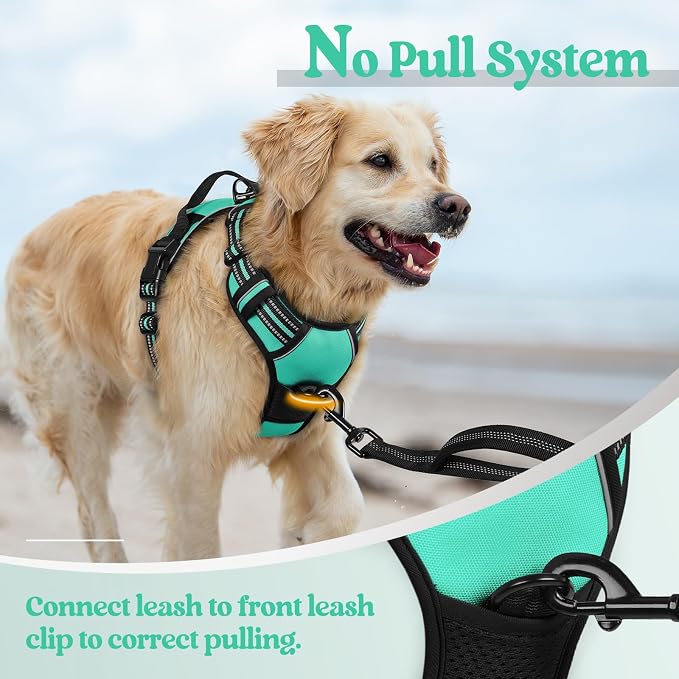 rabbitgoo Dog Harness No Pull - Image 5