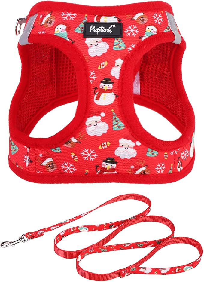 PUPTECK Dog Harness and Leash Set by PUPTECK