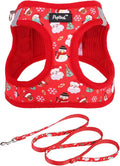 PUPTECK Dog Harness and Leash Set by PUPTECK