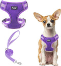 PUPTECK Small Dog Harness and Leash Set, No Pull Adjustable Puppy Cat Harness by PUPTECK