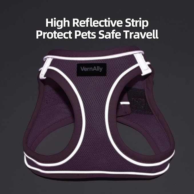 Sparkly Dog Harness Small Sized and Leash Set - Image 7