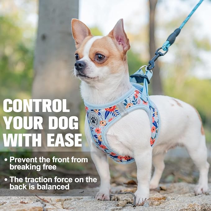 BEAUTYZOO Step in Dog Harness and Leash Set, Floral Pattern Reflective Dog - Image 7