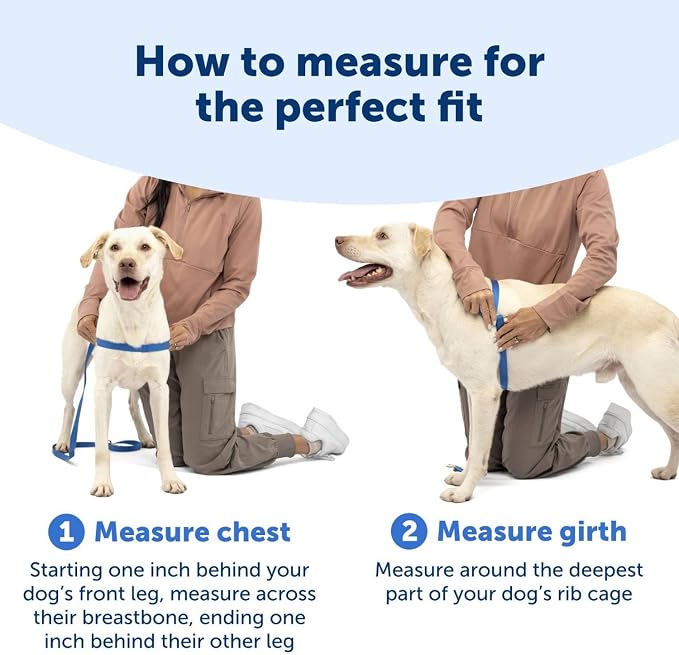 PetSafe Easy Walk No-Pull Dog Harness - Image 5