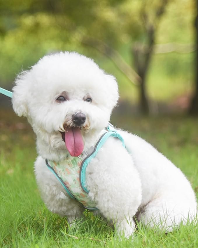 Dog Harness for Small Medium Dogs No Pull, Cat Harness and Leash Set, Step in - Image 2