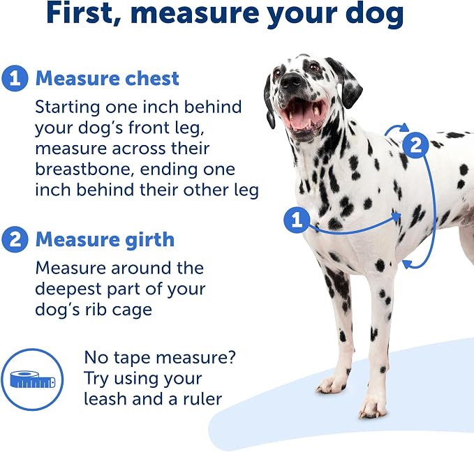PetSafe Easy Walk No-Pull Dog Harness - Image 4