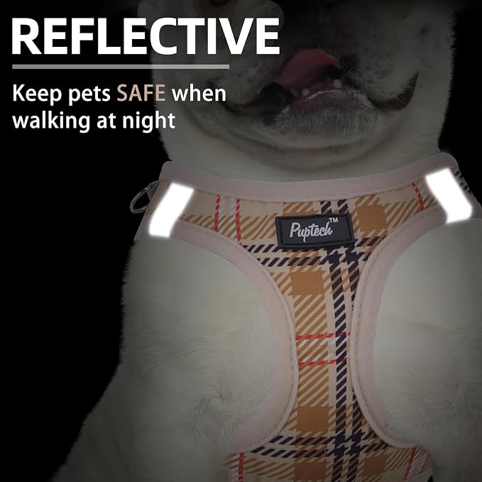 PUPTECK Dog Harness and Leash Set - Image 4