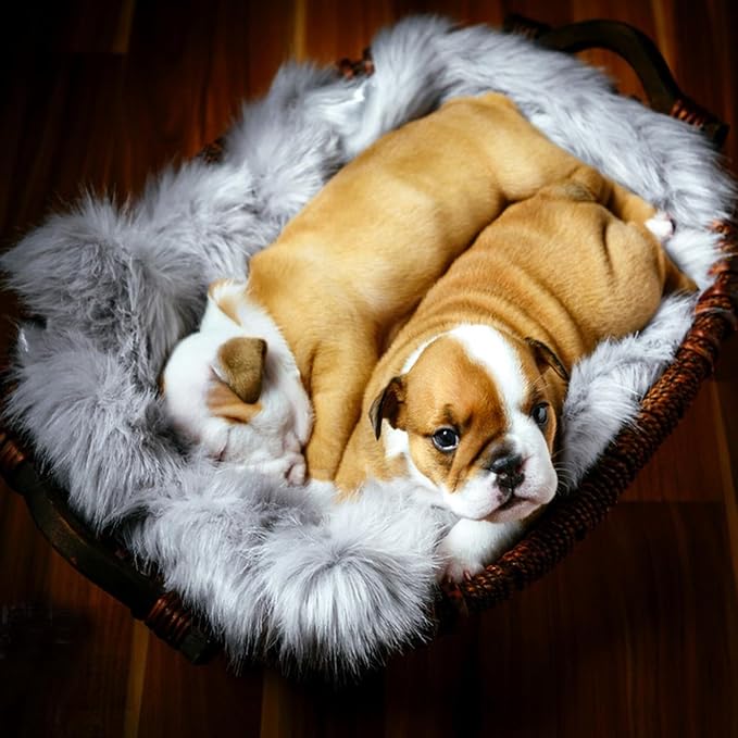 Self Warming Dog Cat Bed Mat 19.6x31.4 inch, Washable Soft Plush Faux Fur - Image 9