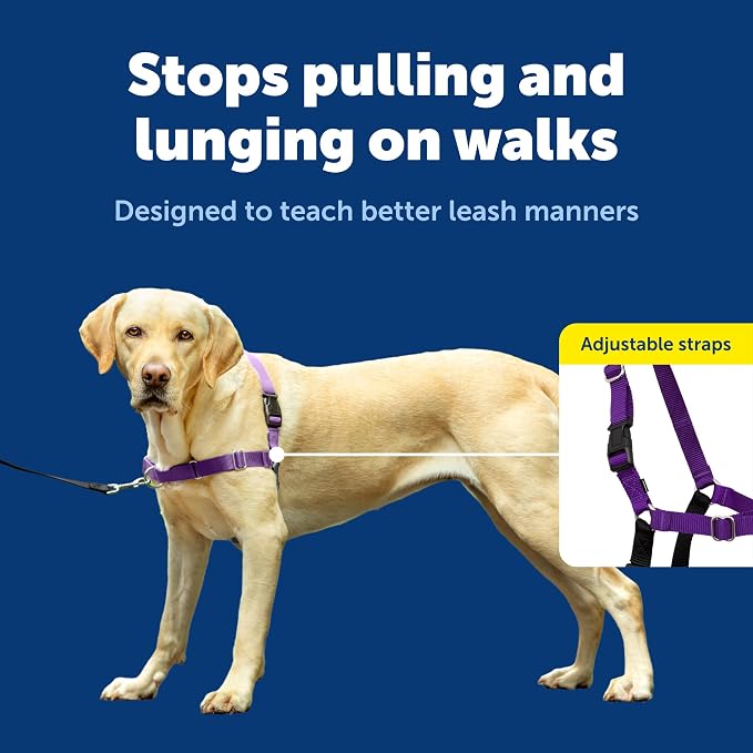 PetSafe Easy Walk Harness for Dogs - Image 4