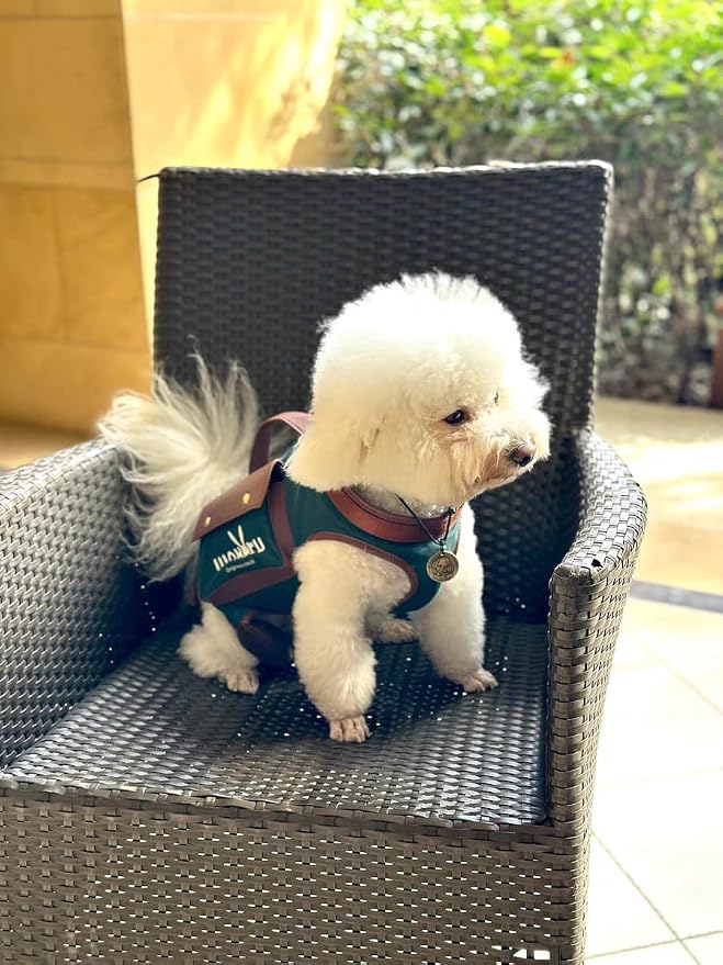 Dog Lift Harness Dog Carrier Dog VES Harness Adjustable Dog Leash - Image 2