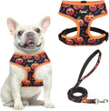 PUPTECK Soft Mesh Dog Harness and Leash Set Pet Puppy Cat Comfort Padded Vest by PUPTECK