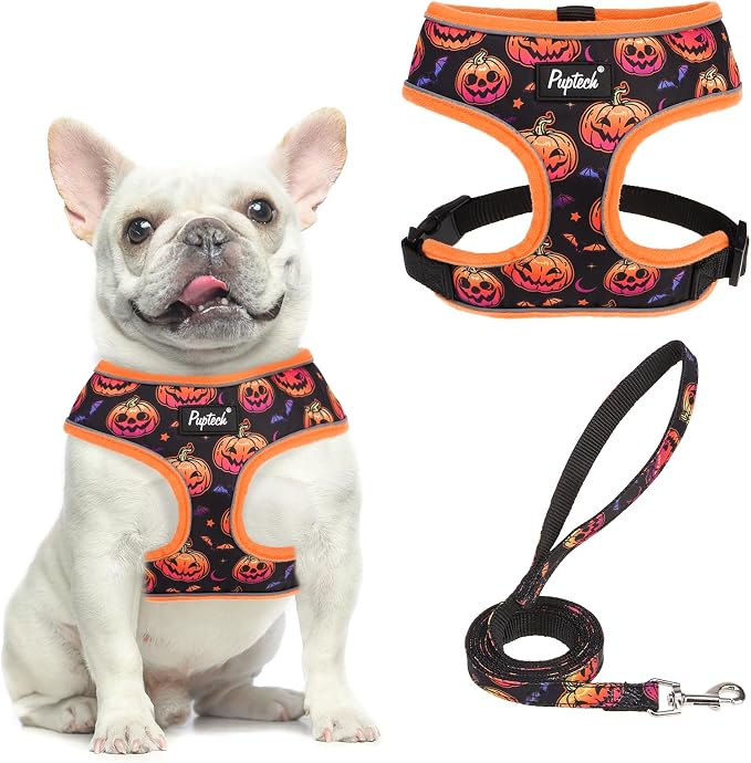 PUPTECK Soft Mesh Dog Harness and Leash Set Pet Puppy Cat Comfort Padded Vest by PUPTECK