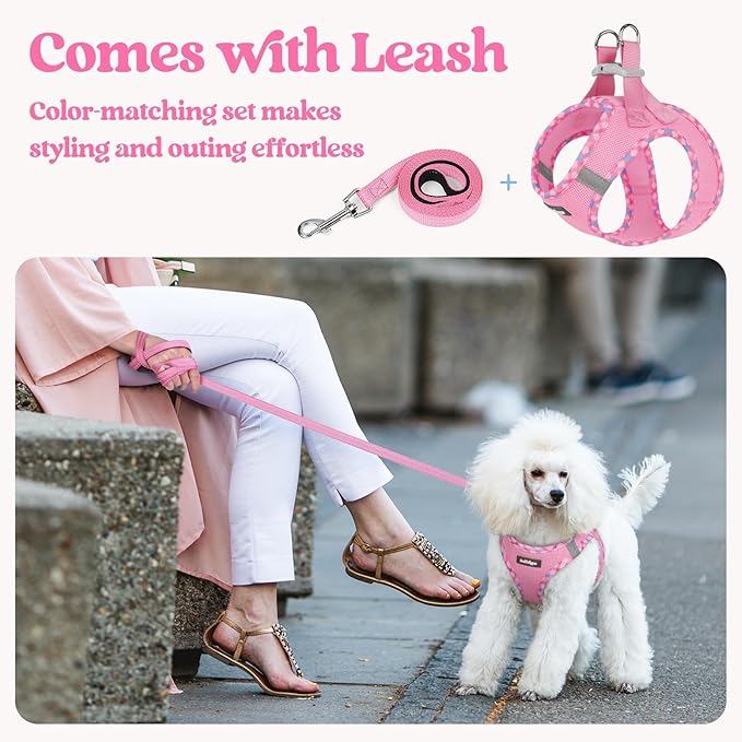 rabbitgoo Dog Harness Small Sized and Leash Set, Step in Soft Light Puppy Vest - Image 5