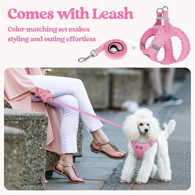 rabbitgoo Dog Harness Small Sized and Leash Set, Step in Soft Light Puppy Vest - Image 5