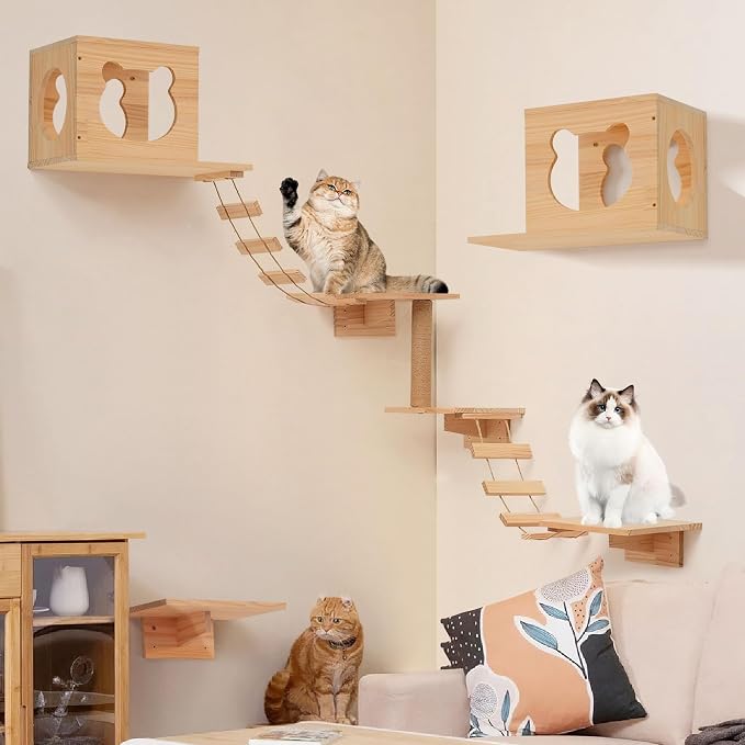 Cat Wall Shelves and Perches, Pine Wooden Cat Wall Furniture Climbing Shelves - Image 8