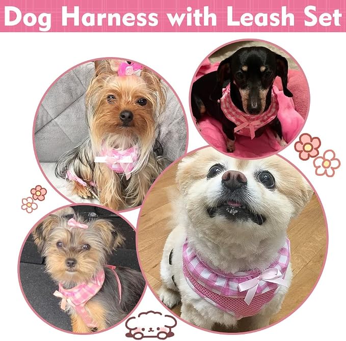 EXPAWLORER Cute Dog Harness and Leash Set - Image 6