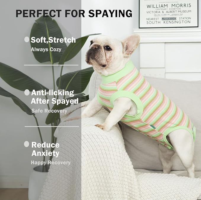 Sebdtico Recovery Suit for Dogs, Dog Surgery Suit Female Spay, Soft Dog Onesie - Image 2