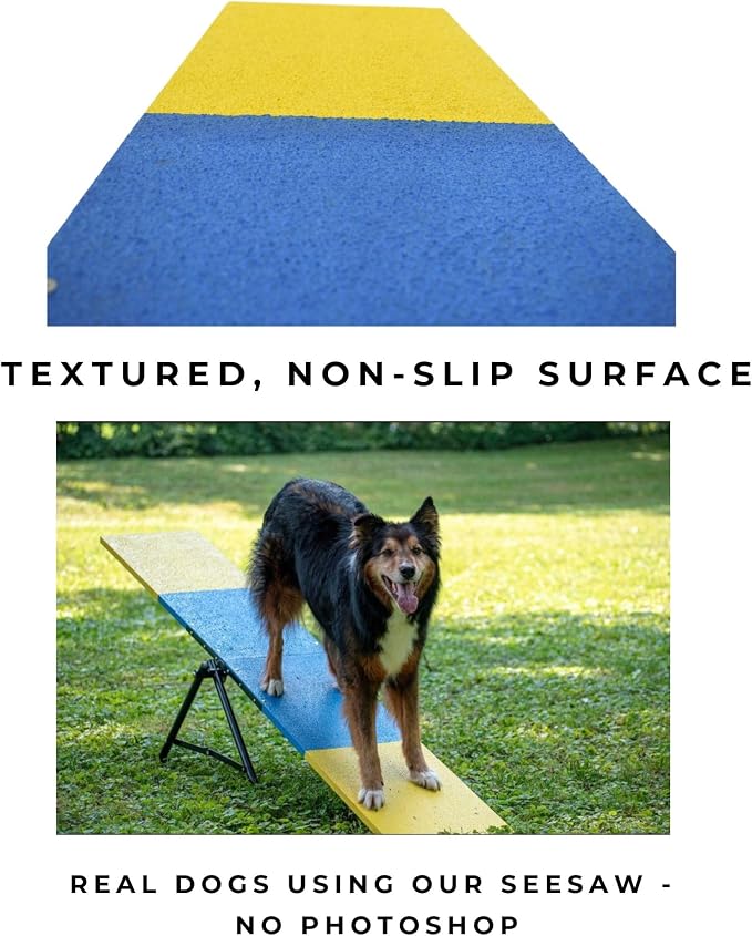 Better Sporting Dogs Practice See Saw | Dog Agility Teeter | Dog Agility - Image 3