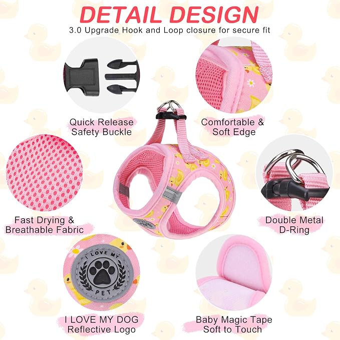 BEAUTYZOO Dog Harness Small Sized and Leash Set, Step-in Soft Padded Mesh Puppy - Image 2