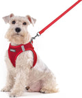 rabbitgoo Dog Harness Small Sized and Leash Set, Step in Soft Light Puppy Vest by rabbitgoo