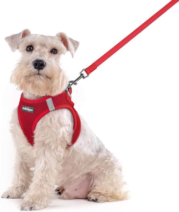 rabbitgoo Dog Harness Small Sized and Leash Set, Step in Soft Light Puppy Vest by rabbitgoo
