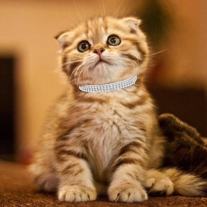 PUPTECK Basic Adjustable Cat Collar - Image 7