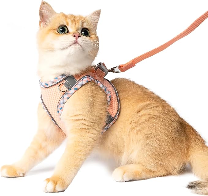 XXS Cat Harness and Leash Set by Jestrem