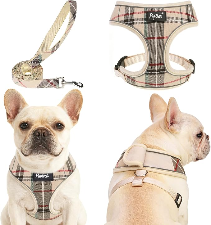 PUPTECK Soft Mesh Dog Harness Small Sized and Leash Set Pet Puppy Cat Comfort by PUPTECK