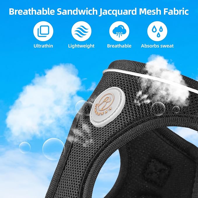 Soft Mesh Dog Harness and Leash Set, No Pull Puppy Harness and Leash Set - Image 5