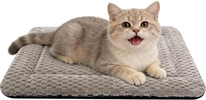 Dog Bed Mat – Soft & Comfortable Dog Kennel Pad by %E7%AB%8B%E5%8D%B3%E8%B4%AD%E4%B9%B0