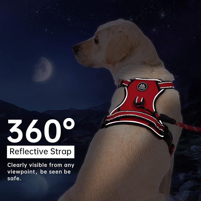 IVY&LANE No Pull Dog Harness for Large Dogs, Dog Vest Harness - Image 5