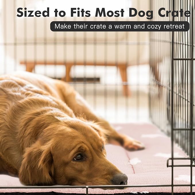 Mora Pets Cat Bed for Indoor Cats Washable Dog Crate Pad Cute Star Dog Bed Mat - Image 5
