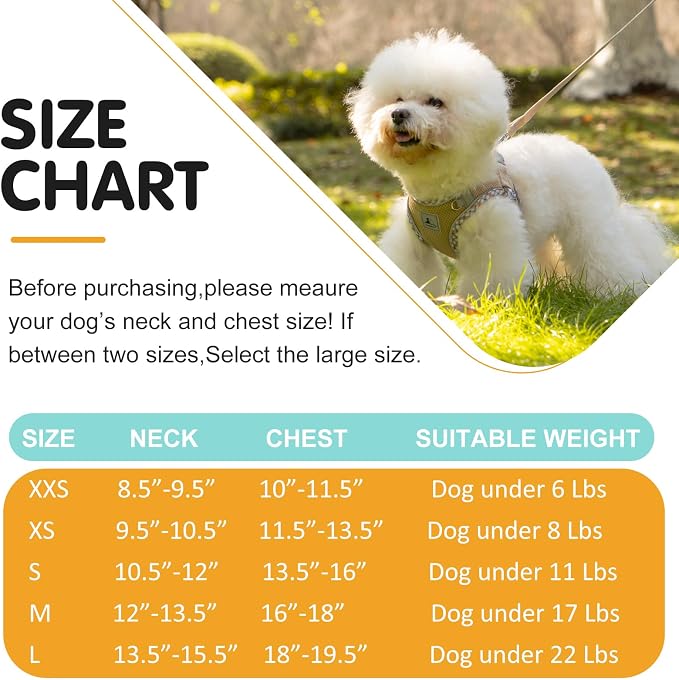 Dog Harness and Leash Set, No Pull Pet Harness - Image 6
