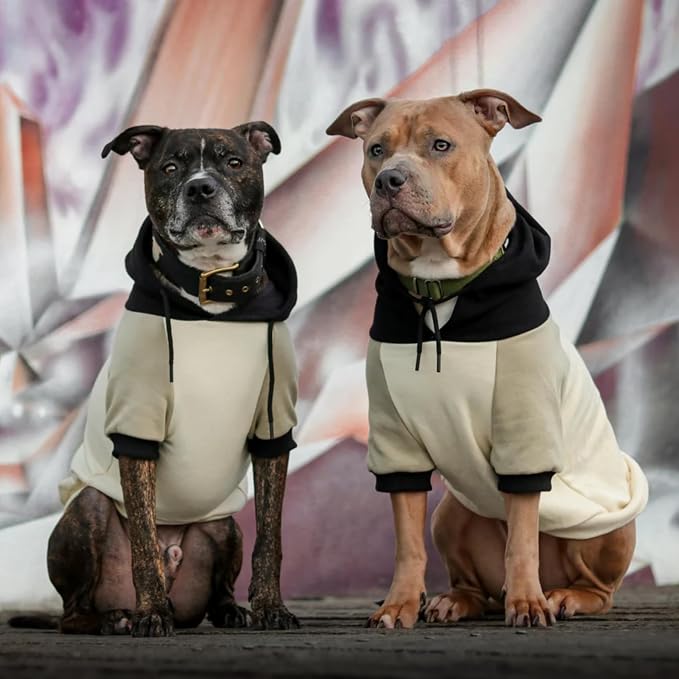 Spark Paws Dog Hoodie – Premium Dog Sweater - Image 3